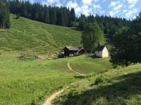 Steiner Alm(c)Berchtesgadener_Land_Tourismus